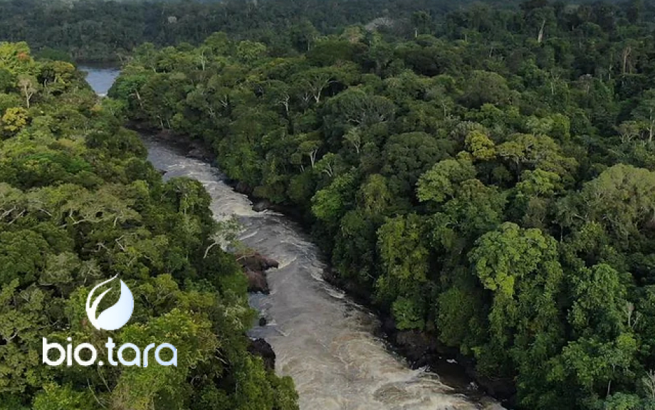 Initiative:<br />BIO.TARA