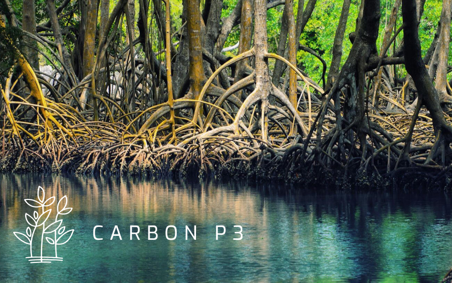 Initiative:<br />CARBON P3