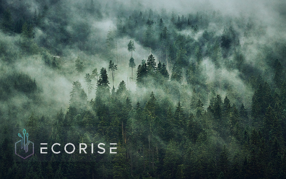 Initiative:<br />ECORISE DAO