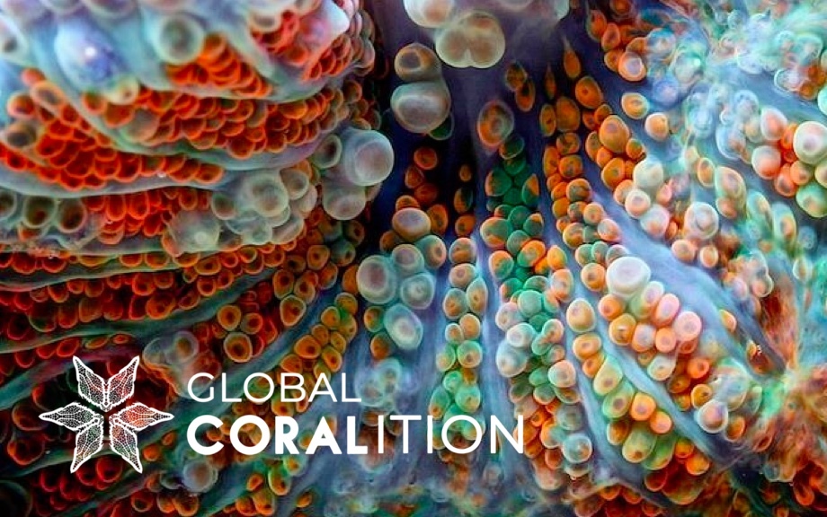 Initiative:<br />GLOBAL CORALITION