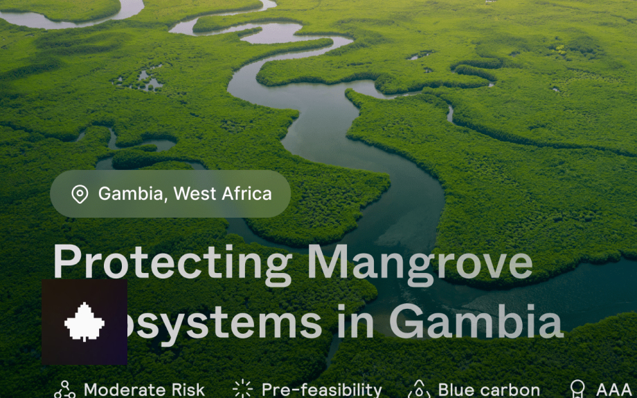 Initiative:<br />IVY