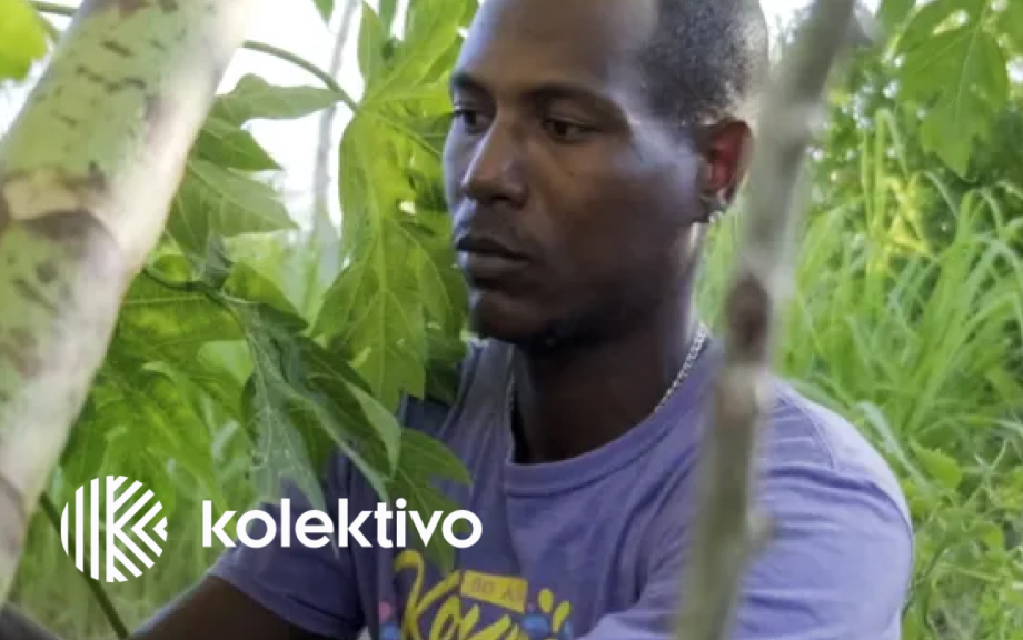 Initiative:<br />Kolektivo