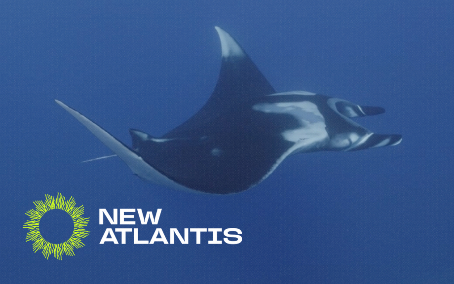 Initiative:<br />NEW ATLANTIS