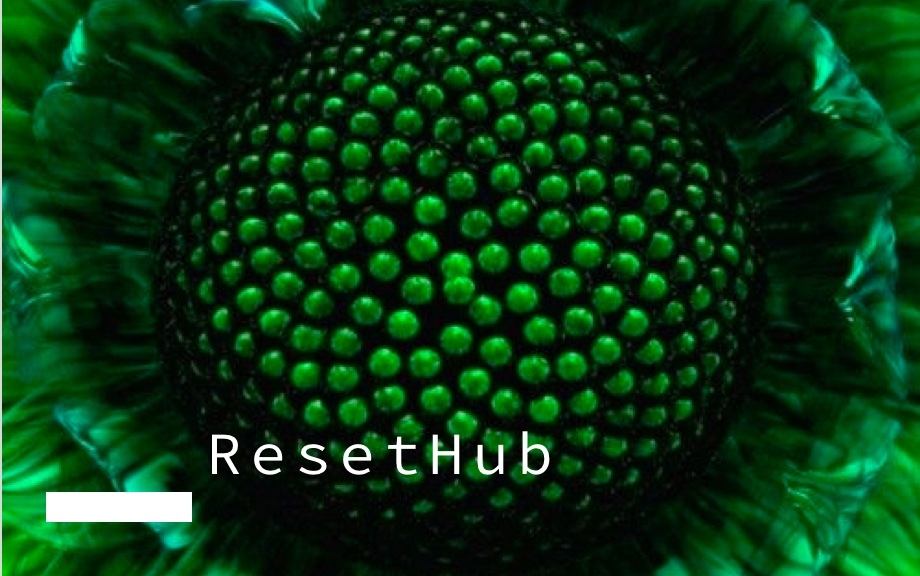 Initiative:<br />RESET HUB