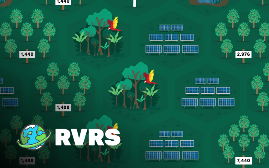 Initiative:<br />RVRS DAO